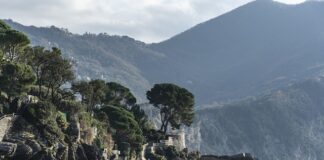 Ile kosztuje wspomaganie kierownicy Fiat Panda? Ile kosztuje wspomaganie kierownicy Fiat Panda?