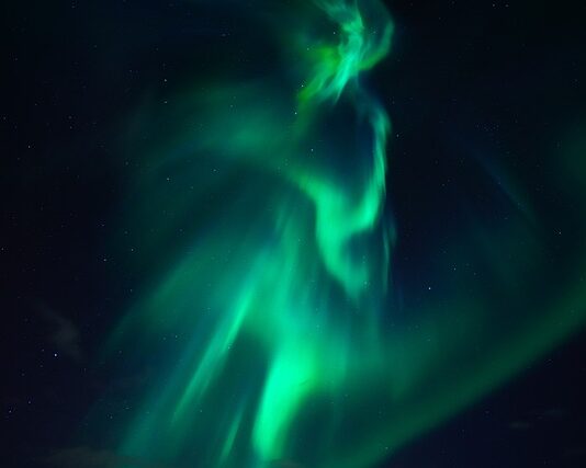 Czym się różni pasek klinowy od paska wielorowkowego?