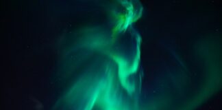 Jak przyspieszyć suszenie roślin?