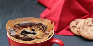 Jaki filtr lepszy siatkowy czy dyskowy?