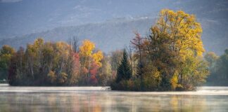 Jakie wiertło do bardzo twardego gresu? Jakie wiertło do bardzo twardego gresu?