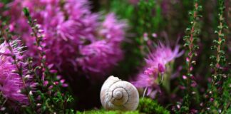 Co trzeba zrobić po wymianie sondy lambda?