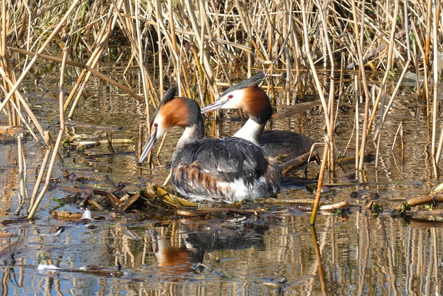 Ile może być gniazd na jednym obwodzie? Ile może być gniazd na jednym obwodzie?
