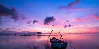 Czy kolor oleju do paliwa ma znaczenie? Czy kolor oleju do paliwa ma znaczenie?