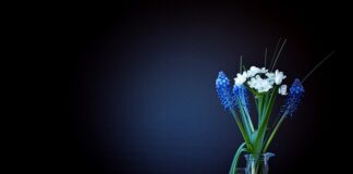 Ile waży Subaru Forester 1? Ile waży Subaru Forester 1?