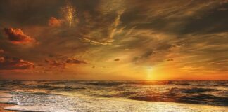 Czy w Danii można spać na dziko? Czy w Danii można spać na dziko?