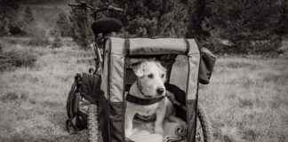 Kiedy Obrysówki do przyczepki? Kiedy Obrysówki do przyczepki?