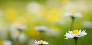 Czego nie wolno świecić?