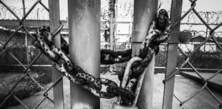 Czym malować ocynkowany płot? Czym malować ocynkowany płot?