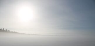 Jak zrobić zająca z jajka styropianowe?