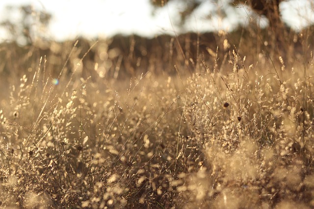 Ile trwa wymiana filtrów? Ile trwa wymiana filtrów?