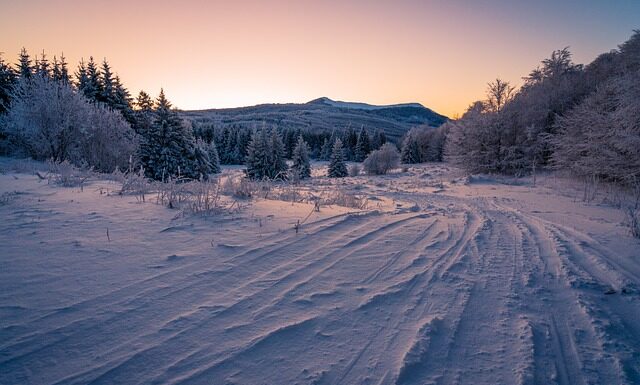 Jakie opony do Pajero 4?