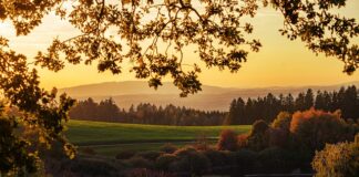 Czy można opalać się w cieniu?