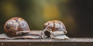 Za co odpowiada czujnik temperatury parownika? Za co odpowiada czujnik temperatury parownika?