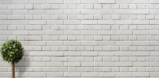 Co oznacza bukszpan na Wielkanoc?