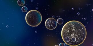 Co wymieniać razem z olejem? Co wymieniać razem z olejem?