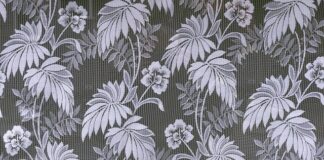 Jak upiększyć swoje zdjęcia?